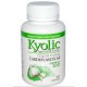 Kyolic Aged Garlic Extract Odorless Cardiovascular Formula 100 Capsules